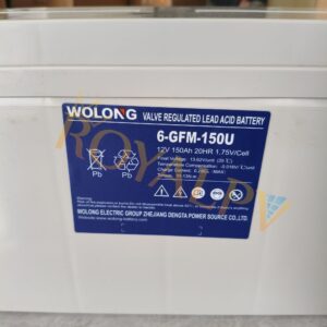 Baterai wolong 12v 120ah 6-GFM-150u (5)